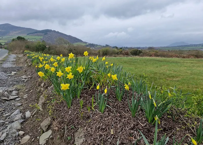 Daffodil - Sleeps 2 & Stunning Seaside Views Villa *